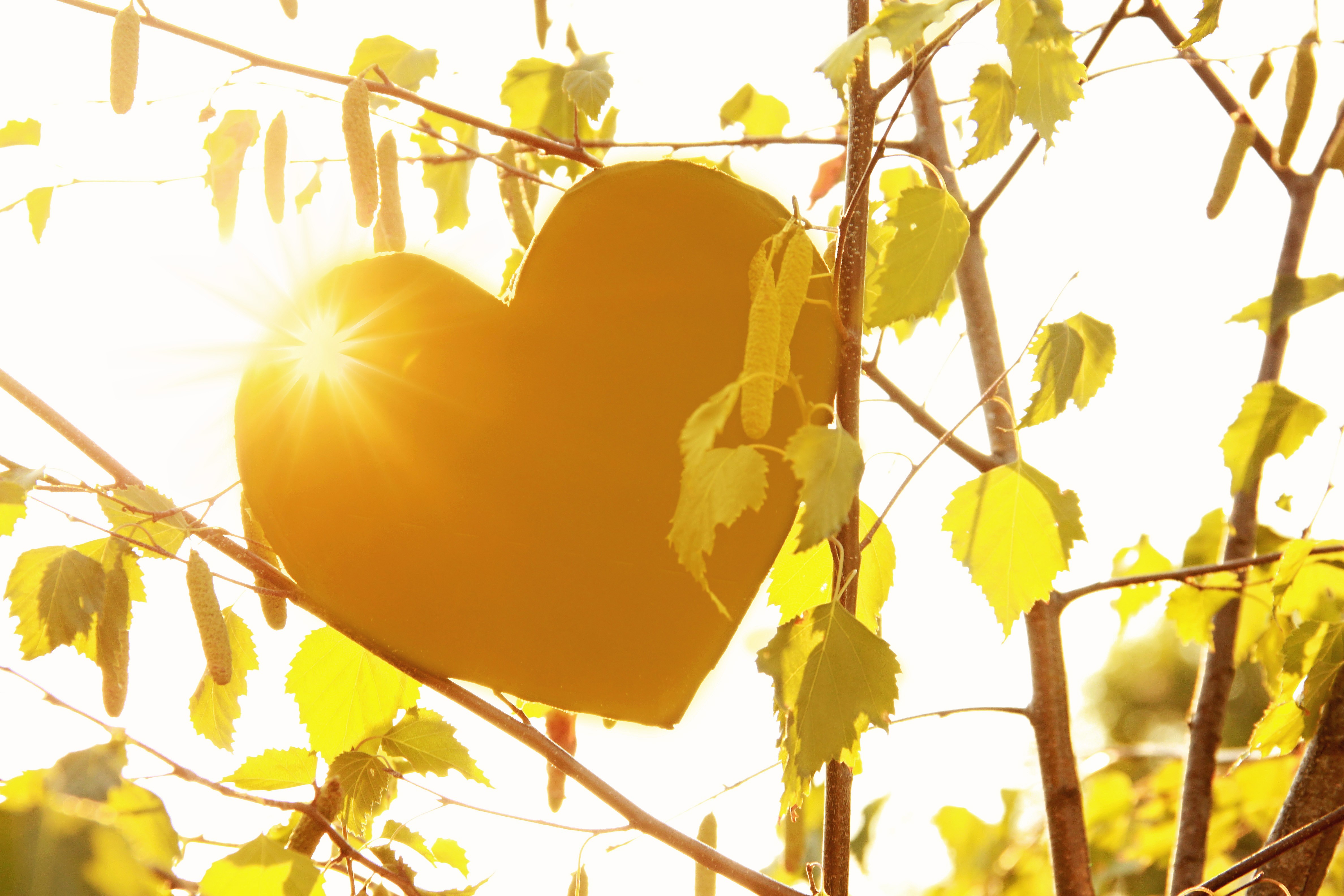 Love of God Religious Stock Photos